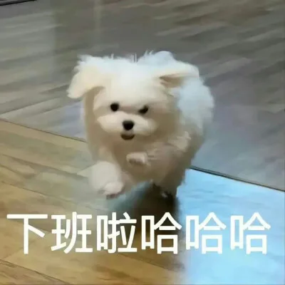 各种花式装逼系列表情包第106张（各种花式装逼系列表情包第106张）
