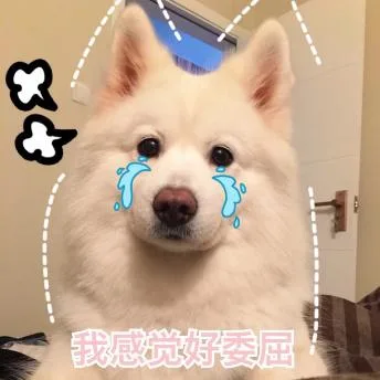 汪星人（汪星人）