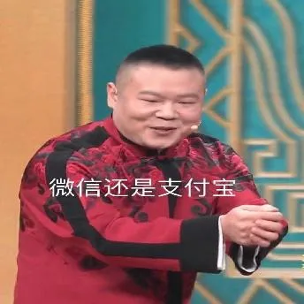岳云鹏（岳云鹏）