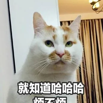 喵星人（喵星人）