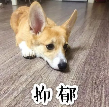 汪星人（汪星人）