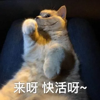 喵星人（喵星人）