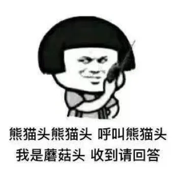 熊猫头（熊猫头）
