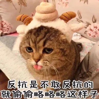 喵星人（喵星人）