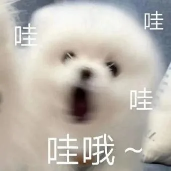 汪星人（汪星人）