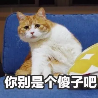 喵星人（喵星人）