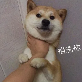 汪星人（汪星人）