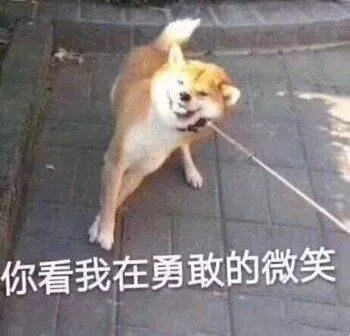 汪星人（汪星人）