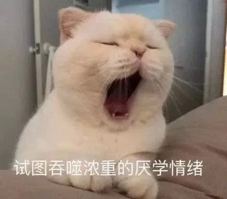 喵星人（喵星人）