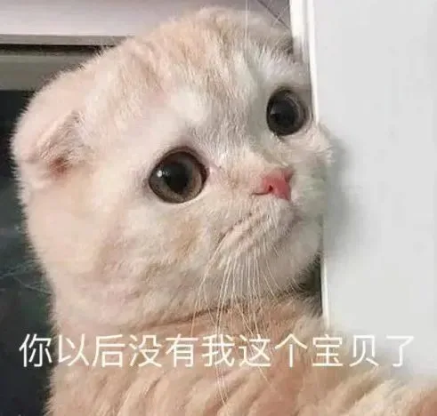 喵星人（喵星人）