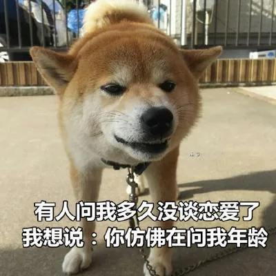 汪星人（汪星人）