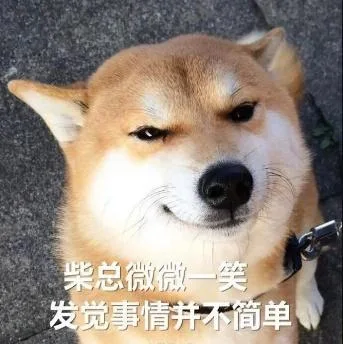 汪星人（汪星人）