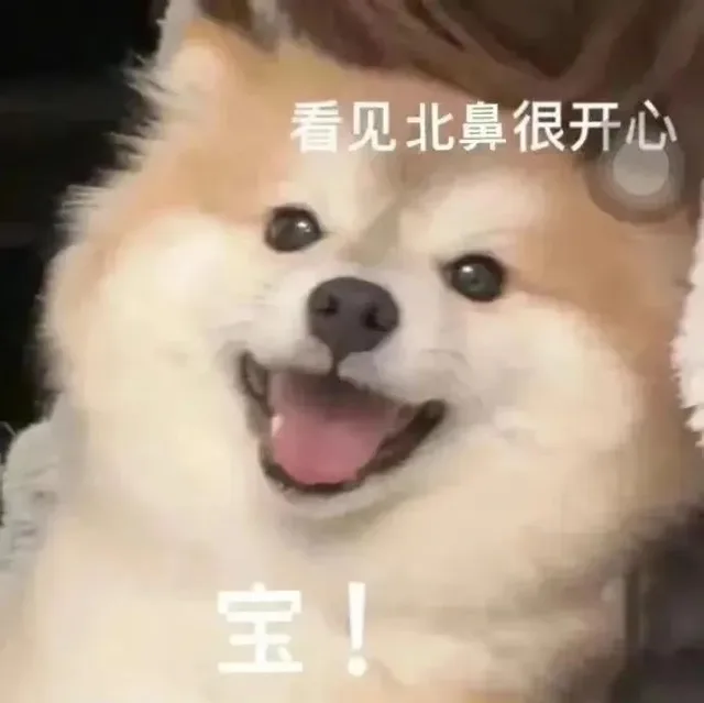 各种花式装逼系列表情包第105张（各种花式装逼系列表情包第105张）