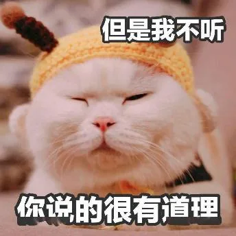 喵星人（喵星人）