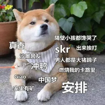 汪星人（汪星人）