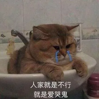 喵星人（喵星人）