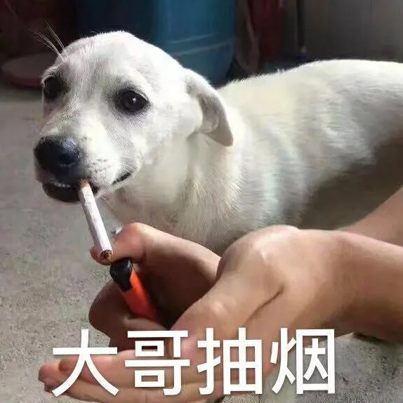 汪星人（汪星人）