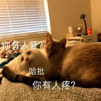 喵星人（喵星人）