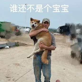 汪星人（汪星人）