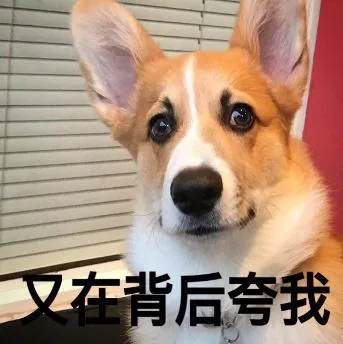 汪星人（汪星人）