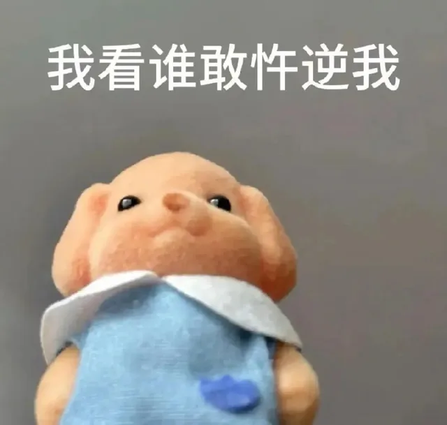 各种花式装逼系列表情包第017张