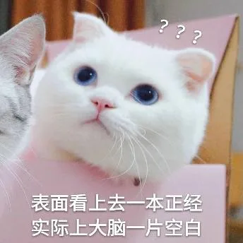 喵星人（喵星人）