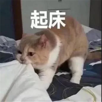 喵星人（喵星人）