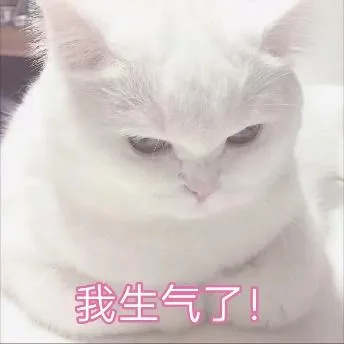 喵星人（喵星人）