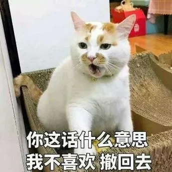 喵星人（喵星人）
