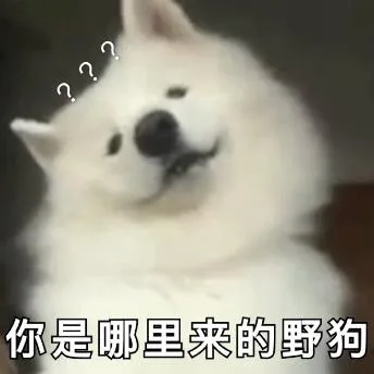 汪星人（汪星人）