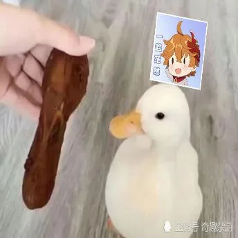 原神（原神）