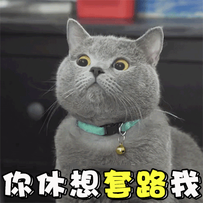 GIF动图（GIF动图）