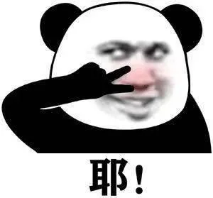 熊猫头（熊猫头）