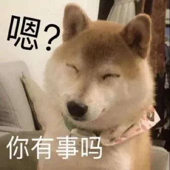 汪星人（汪星人）