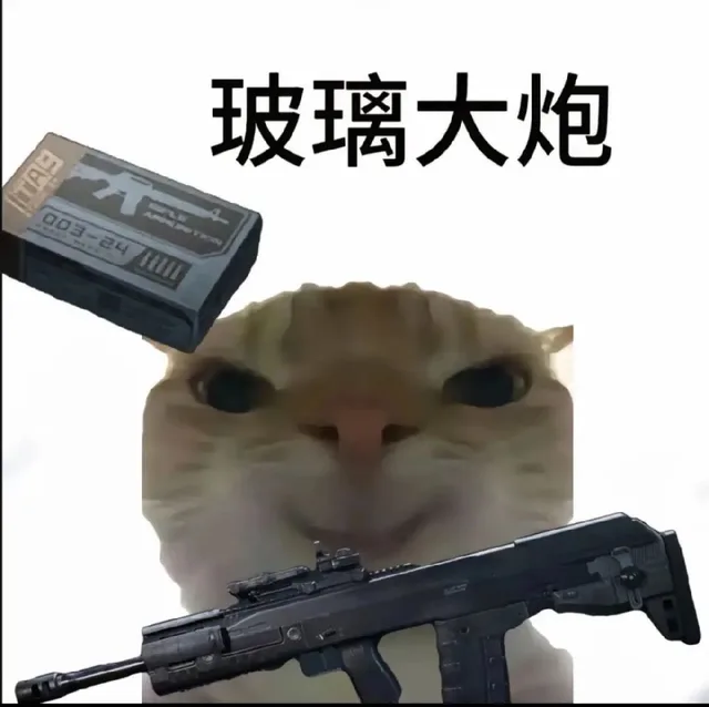 各种花式装逼系列表情包第050张