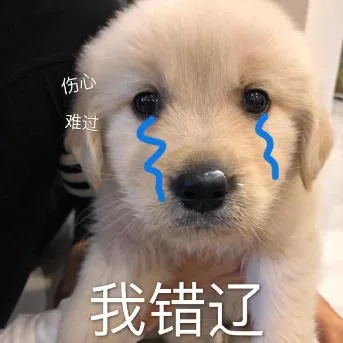 汪星人（汪星人）
