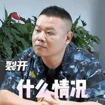 岳云鹏（岳云鹏）