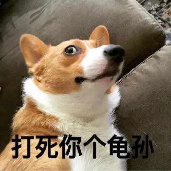 汪星人（汪星人）
