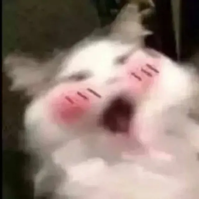 喵星人（喵星人）