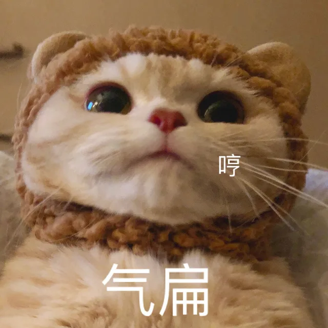 各种花式装逼系列表情包第075张