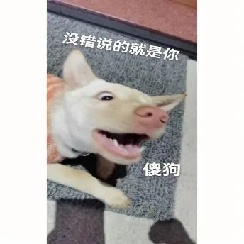 汪星人（汪星人）