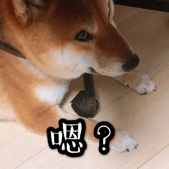 汪星人（汪星人）