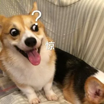 汪星人（汪星人）