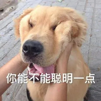 汪星人（汪星人）