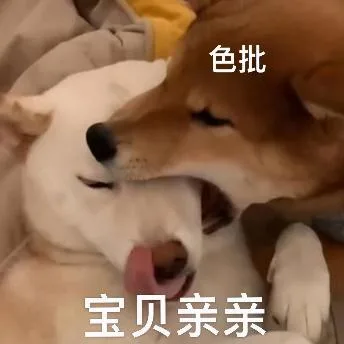 汪星人（汪星人）