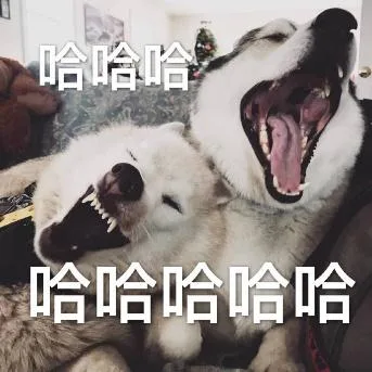 汪星人（汪星人）