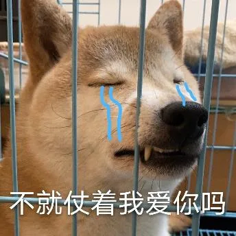 汪星人（汪星人）
