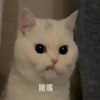 喵星人（喵星人）