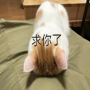 喵星人（喵星人）