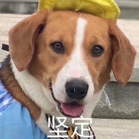 汪星人（汪星人）